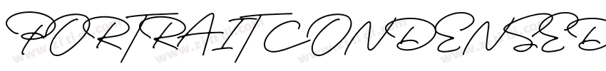 PORTRAIT CONDENSED字体转换